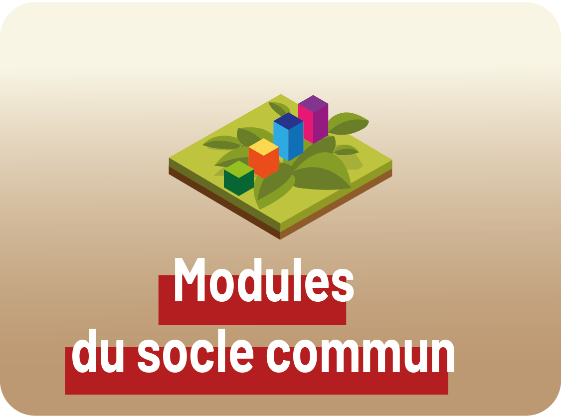 Modules du socle commun
